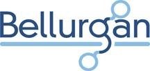 Bellurgan Precision